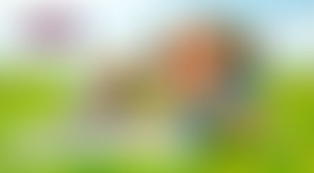 English LABs | Marzo-Giugno 2019