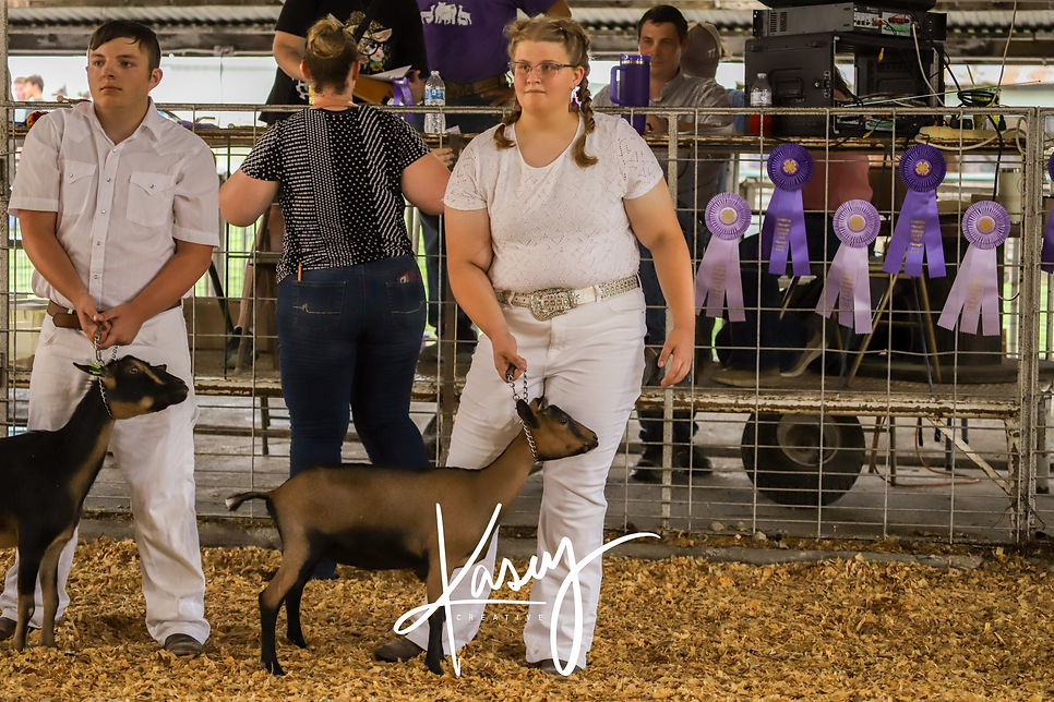 CCF Dairy Goat-34.jpg