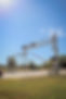 IMG_1052-Edit.jpg