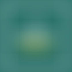 February Workforce Data Newsletter