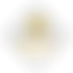 Valley Build Apprenticeship Readiness Program Expands to Tulare County