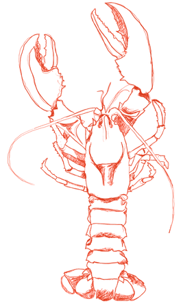 AEnB2UozSSbfp-7xpO5qKsmuFtEipbsMZpa9e7Ti