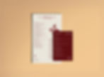 overhead view of two layered custom menus in off-white and dark red on tanned background
