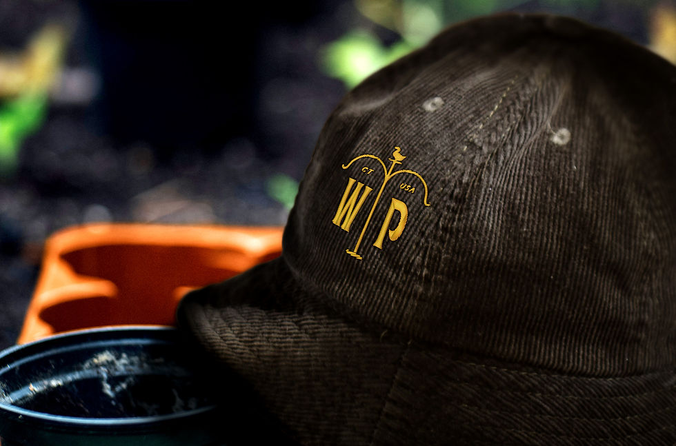 Custom corduroy embroidered hat with logo