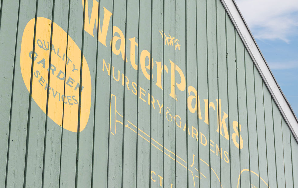 WaterParks garden shed with custom mural