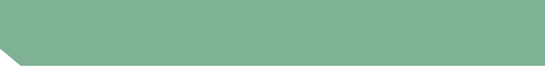 Asset 42.png