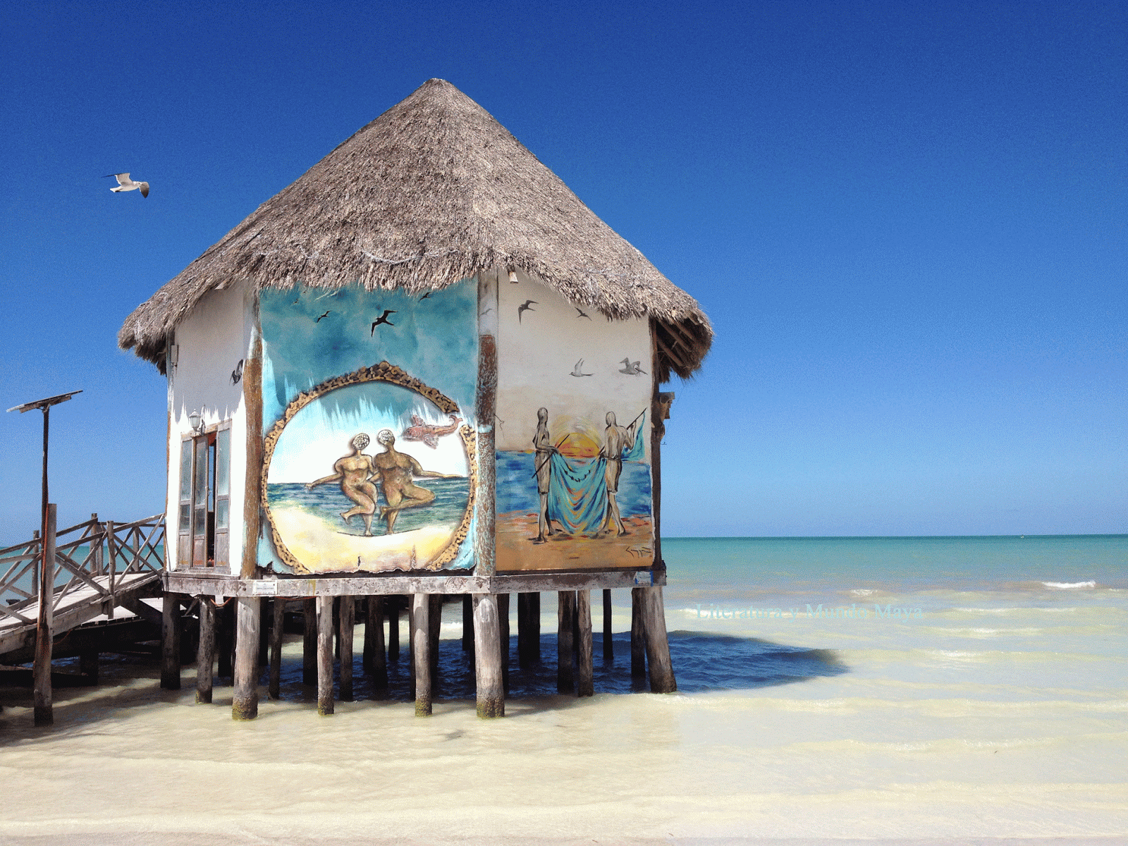 Soñando por Holbox 2014