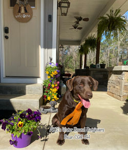 97D2B78A-0672-4293-95FF-3561B998D8F1