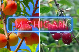 Fruiter Yooper Tour - Michigan, Mackinac and The Upper Peninsula