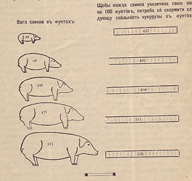 Наука 12 свині.png