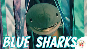 Blue Sharks