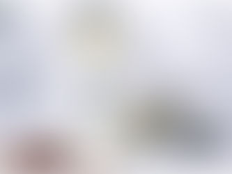 NEW N.ポリッシュオイル