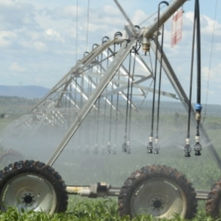 Why Africa must transform its agriculture sector now