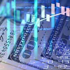 The Enduring Allure of the US Economy