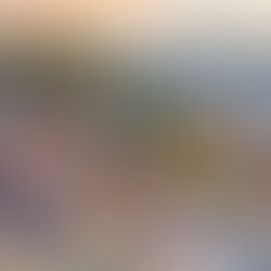 Debunking the Myth: Europe’s Housing Crisis