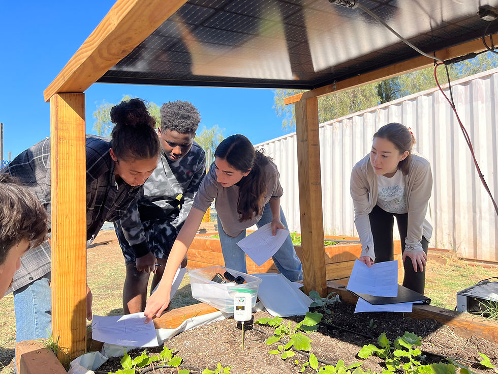 Phoenix teen embraces solar and “agrovoltaics” as key to sustainable farming in launch of organization