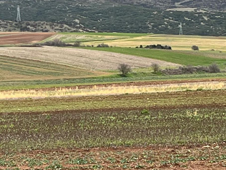 ENOIKIAZONTAI ΧΩΡΑΦΙΑ 800+ ΣΤΡΕΜΜΑΤΩΝ 