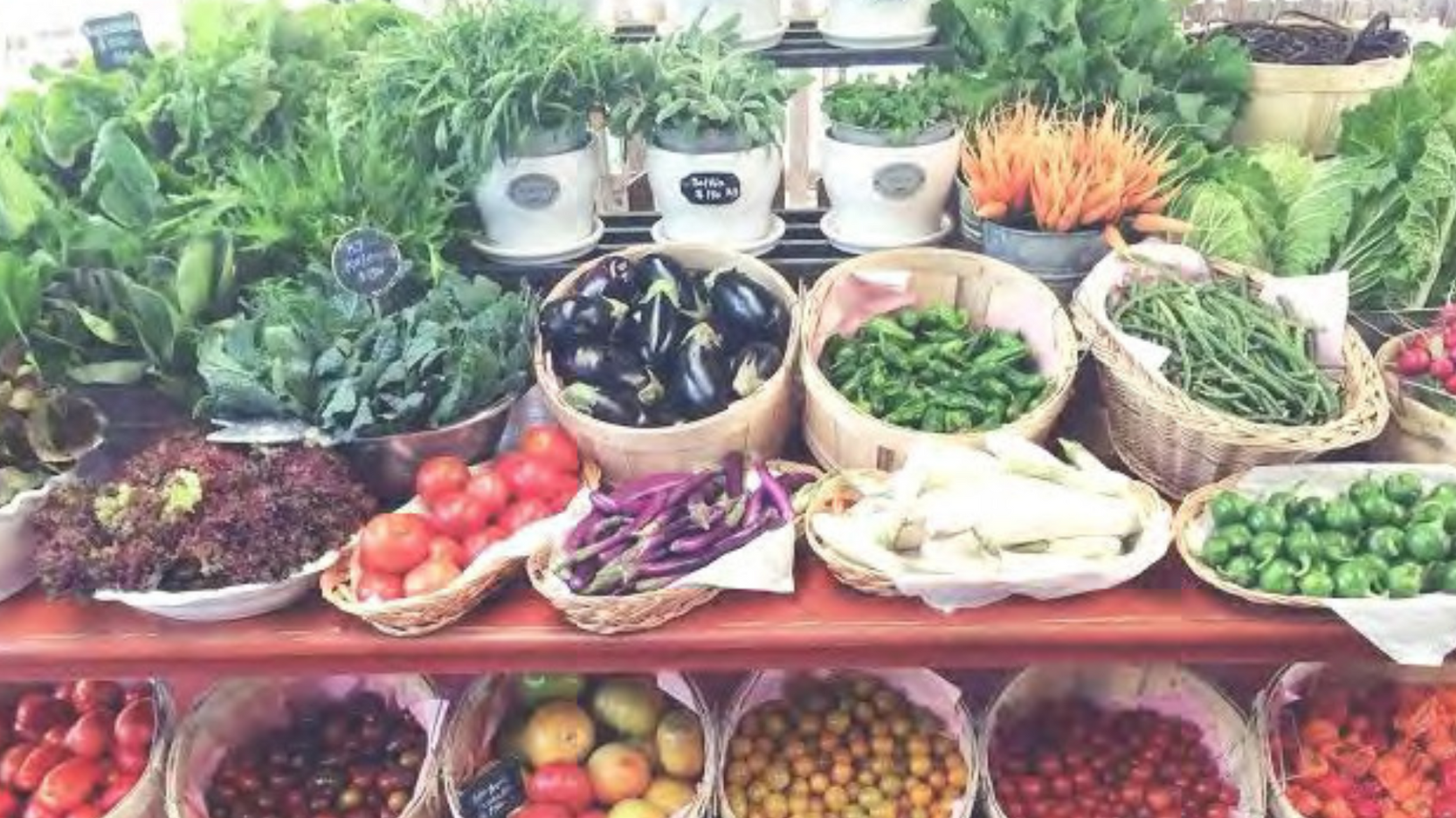 Abundant harvest display of fresh vegetables, herbs, and produce grown at UBH urban farm