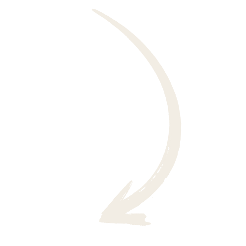 Untitled design (2).png