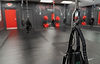 Fly into Fitness studio with suspension training equipment