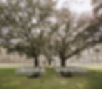 Bannerville Oaks Farm