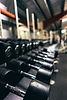 Row of dumbbells arranged on rack