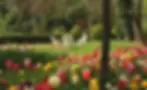 botanischer-garten-hahnstaetten-03-080d0e86.webp