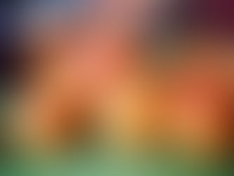 Meruňková marmeláda bez cukru