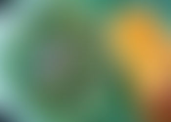 Zeleninová polévka aneb "něco na mě leze"