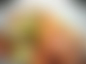 Kapustové karbanátky