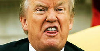 goofydon.jpg