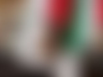 Refrenda Belinda Iturbide compromiso con las mujeres indígenas