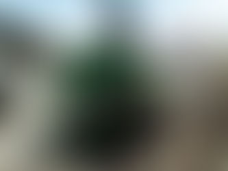 Ayuntamiento distribuye agua a familias afectadas por el desabasto.