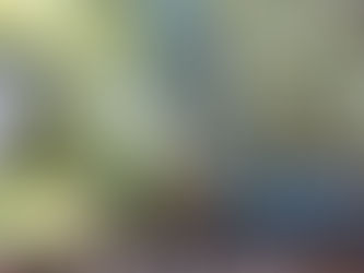 Se reactivará hoy la distribución del agua potable en cuatro colonias de Nueva Italia