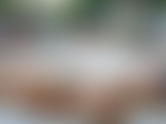 Invitan a partir la tradicional Rosca de Reyes -Apatzingán