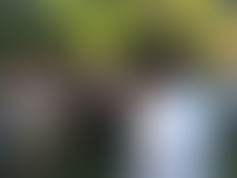 Alcalde reconoce labor de medios de comunicación