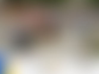 Paty Contreras recorrió hogares donde promocionó el voto para su proyecto de administración y para l