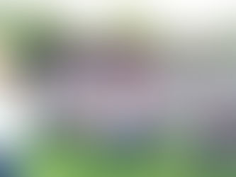 Feliciano Flores reafirmará su compromiso con la educación aumentando presupuesto siendo Diputado Fe