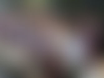 Escuelas de 29 municipios estrenan bandas de guerra en acto cívico