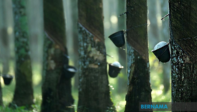 Rubber Market Ends Higher On Surging Oil Prices, Supply Concerns 