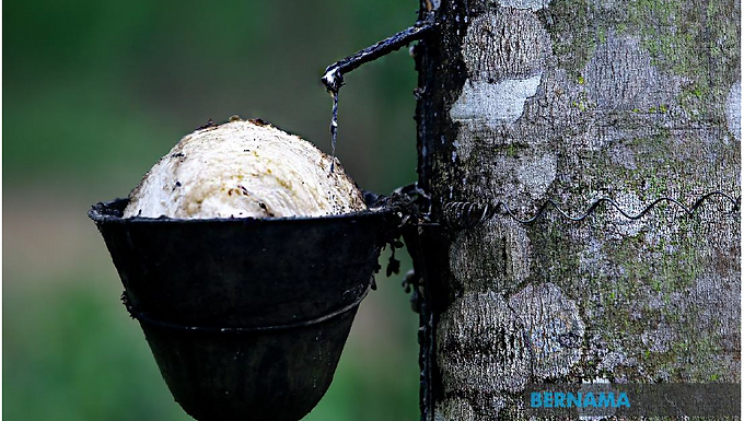 Rubber Market Extends Gains On Strong Regional Futures, Oil Prices