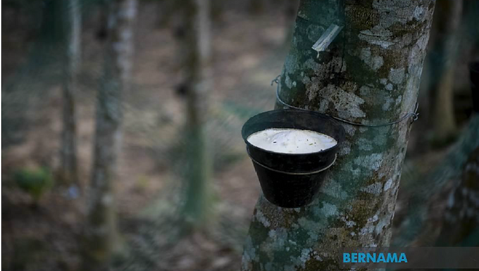 Rubber Market Ends Higher On Optimism Over Potential US-Iran Diplomatic Breathrough
