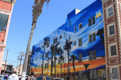 © The.Portfolio 2016