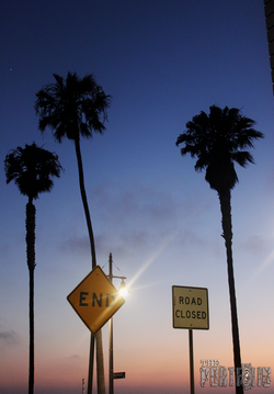 © The.Portfolio 2016