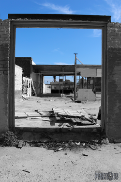 © The.Portfolio 2016