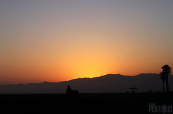 © The.Portfolio 2016