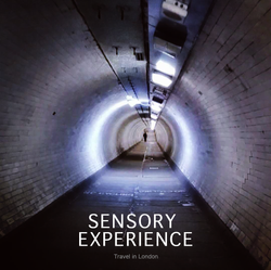 sensory experience