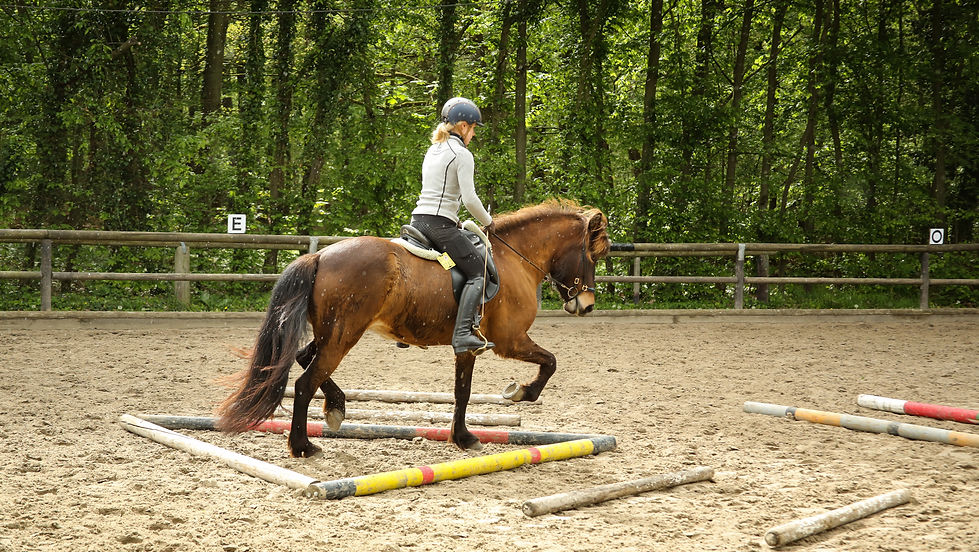 Gymnastizierendes Stangentraining mit Rebecca Wiegand -ABGESAGT