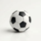 Souvenir Soccer Ball