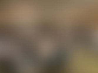 ディズニーホテルでマジックショー